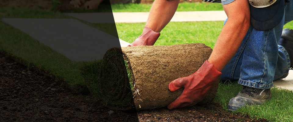 Belle Glade Landscapers